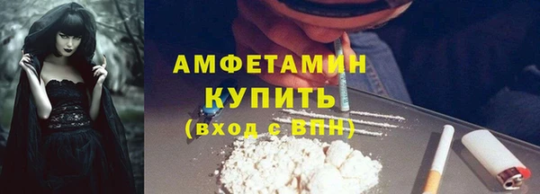 шишки Арсеньев
