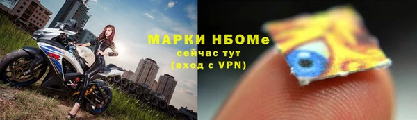 прущие грибы Аркадак