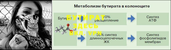 прущие грибы Аркадак