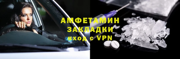 прущие грибы Аркадак