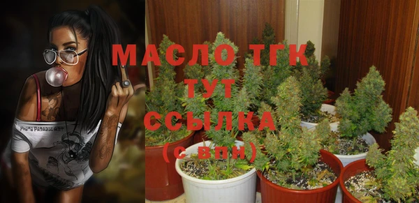шишки Арсеньев