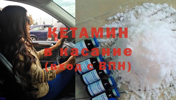 шишки Арсеньев