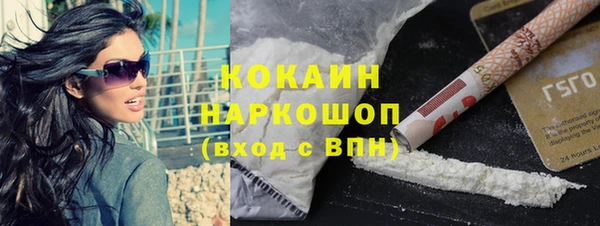 шишки Арсеньев