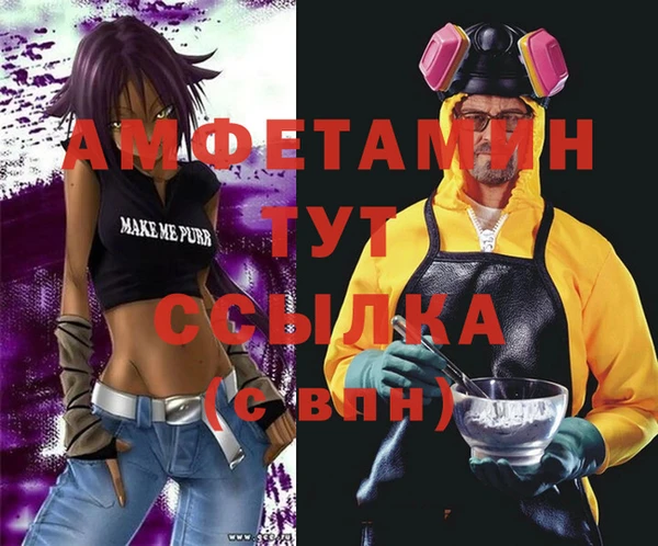 шишки Арсеньев