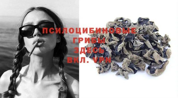 шишки Арсеньев