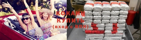 прущие грибы Аркадак